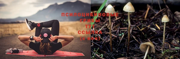 прущая мука Арсеньев